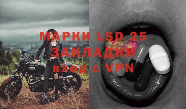 хмурый Липки