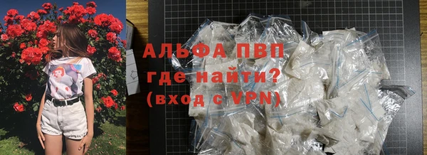 хмурый Липки