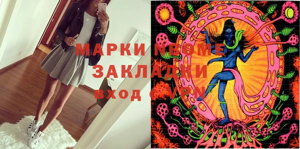 хмурый Липки